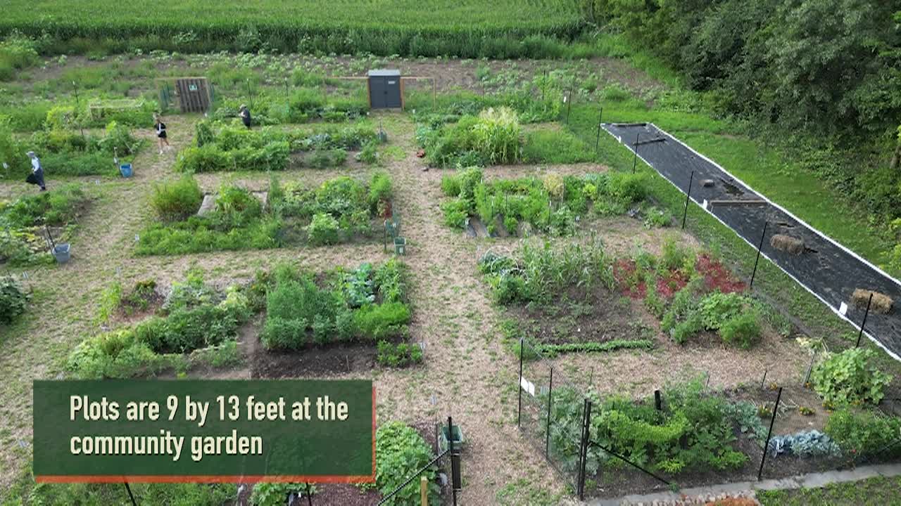 Thumbnail image for Simple Garden Tips 1
