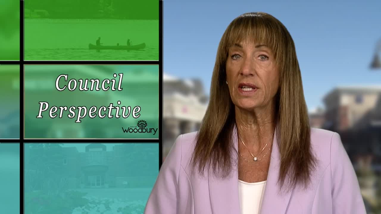 Council Perspective