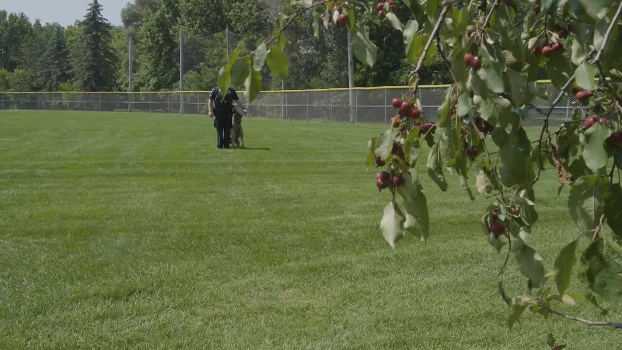 K-9 Odin