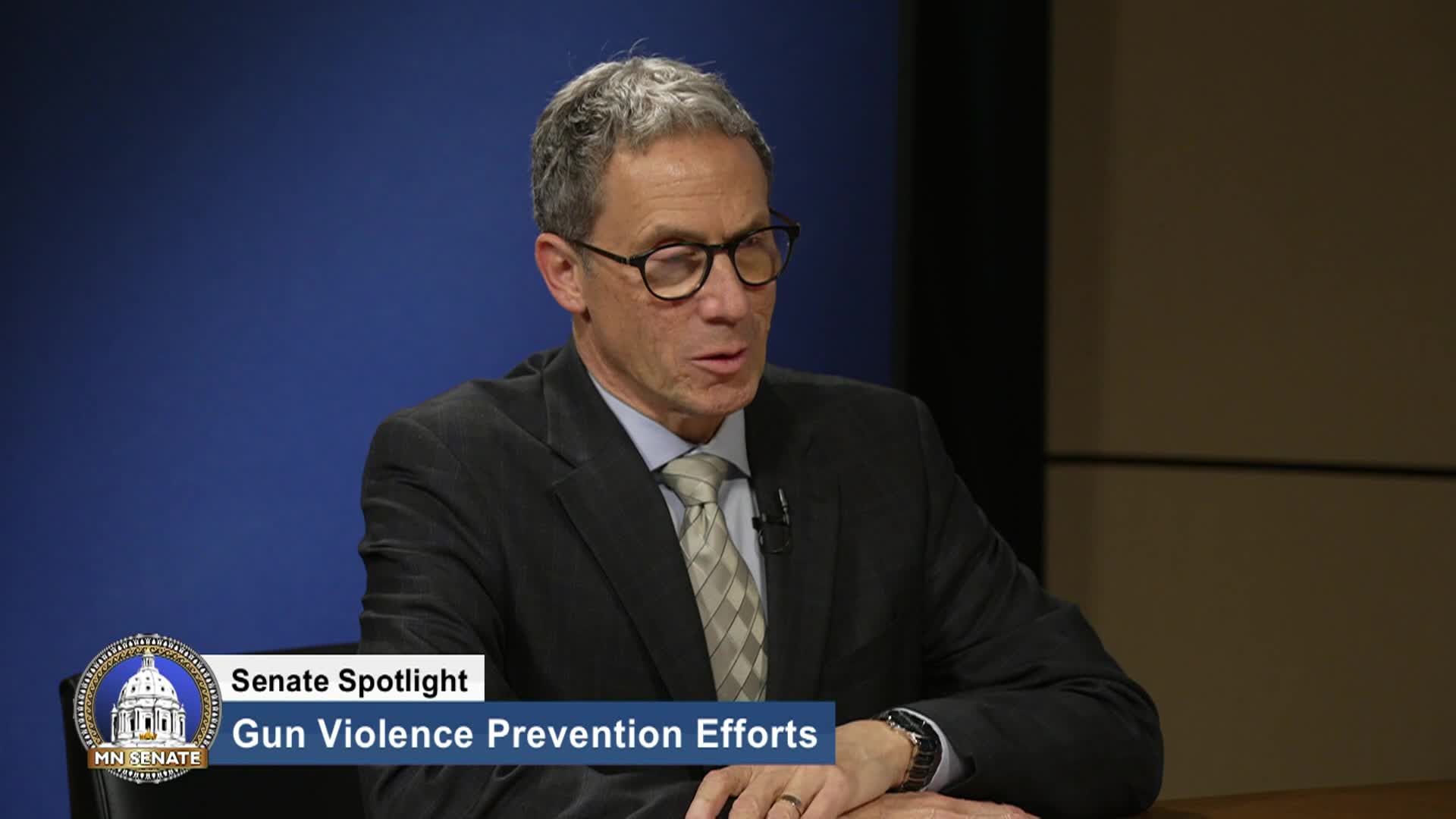 Thumbnail image for Minnesota Senate Update