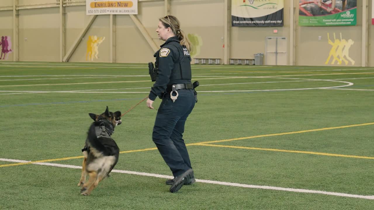 Thumbnail image for K9 Series Officer Emily Wessels and Kane